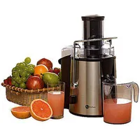 Centrífuga Fun Kitchen Master Inox - 600W - R$243