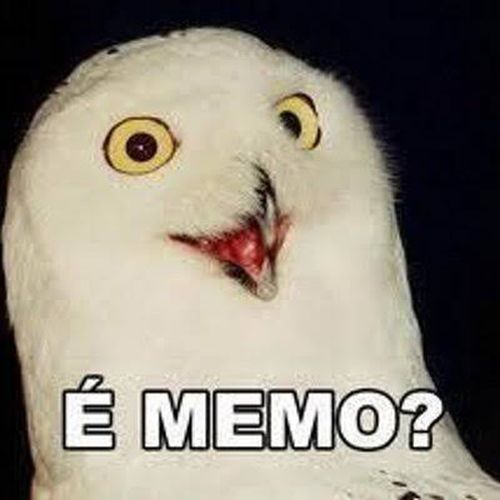 images (14).jpeg