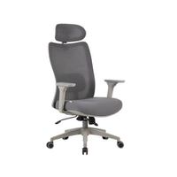 Cadeira Ergonômica Elements Astra Pro Cinza