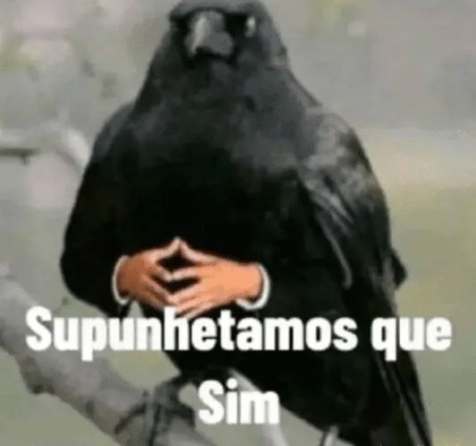 Imagem do comentário