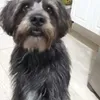 Avatar diegojf