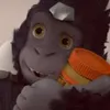 Avatar leonardo_dutramqt