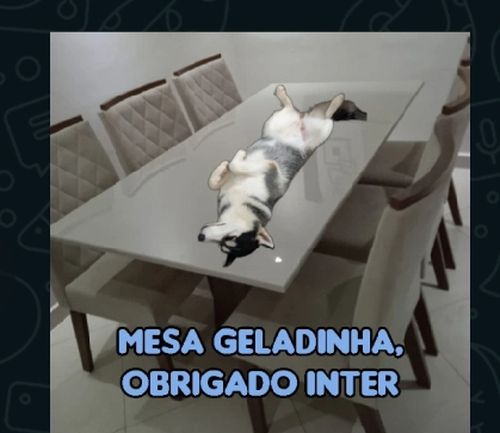 Imagem do comentário