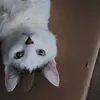 Avatar _adri