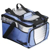 Cooler 36 L - 1 Divisória MOR - R$70