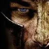 Avatar nitto_silva