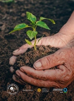 Mastercard Surpreenda | Doe 10 pontos por uma árvore plantada