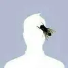 Avatar danielmaciel
