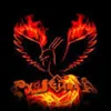 Avatar xfenix_