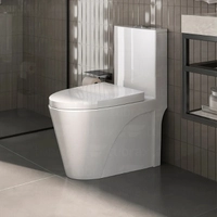 Vaso Sanitário Monobloco Caixa Acoplada Completo - Privada Cor Branco