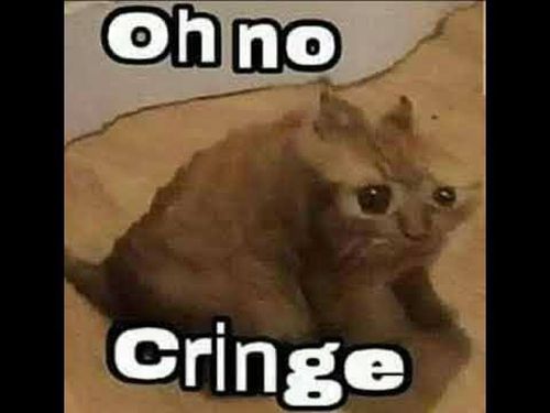 images (3).jpeg