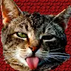 Avatar 1vidagamer