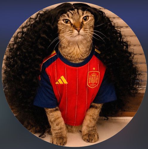 Imagem do comentário