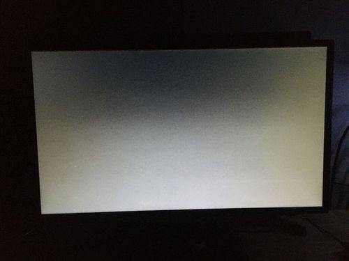 7154520.jpg