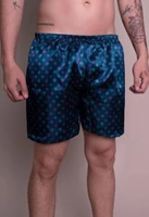 SAMBA CANÇÃO BELLA FIORE MODAS CETIM | R$ 13