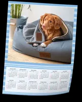 Calendário Pôster