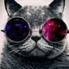 Avatar fbio.souza