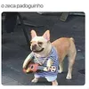 Avatar felipe_silvajbq