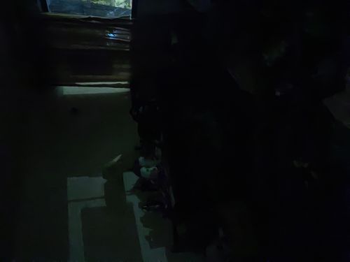 IMG_20220607_212044.jpg