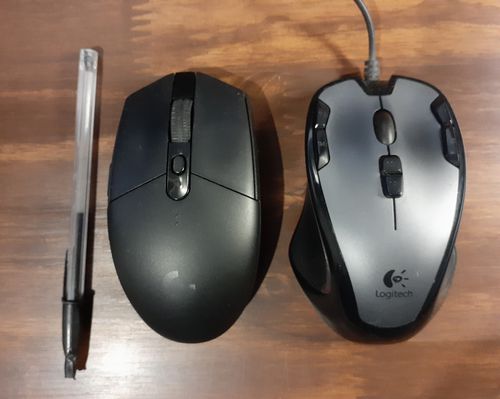 mouse.jpg