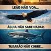 Avatar ferreiratrabalho