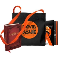Livro - Kit David Bowie: Book Collection + Ecobag

 R$ 22,99