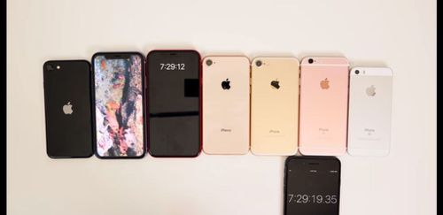 5479408.jpg