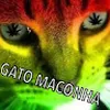 Avatar totti14
