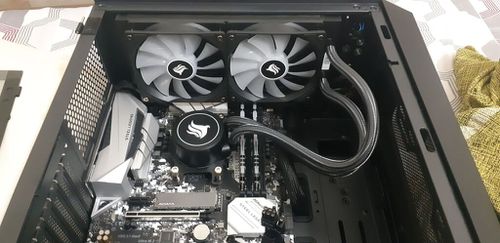 6111940.jpg