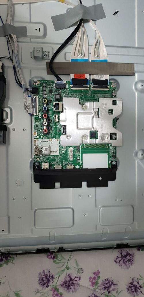5293396-21KmV.jpg