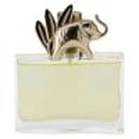 Perfume Kenzo Jungle L'Elephant 100ml Feminino