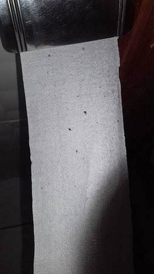 6710813-Gnncz.jpg