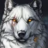 Avatar respect.wolf