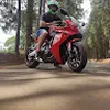Avatar rafaelgarcia3319