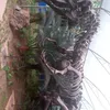 Avatar ragnar_123
