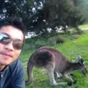 Avatar wilhong