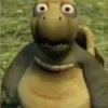 Avatar guaxinimmaluco
