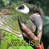 Avatar larissvit_