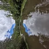 Avatar capivara_azul