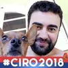 Avatar gustavo.ayresdonascimento