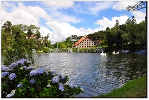 Pacote de Viagem - Gramado ou Canela + Skyglass - 2023