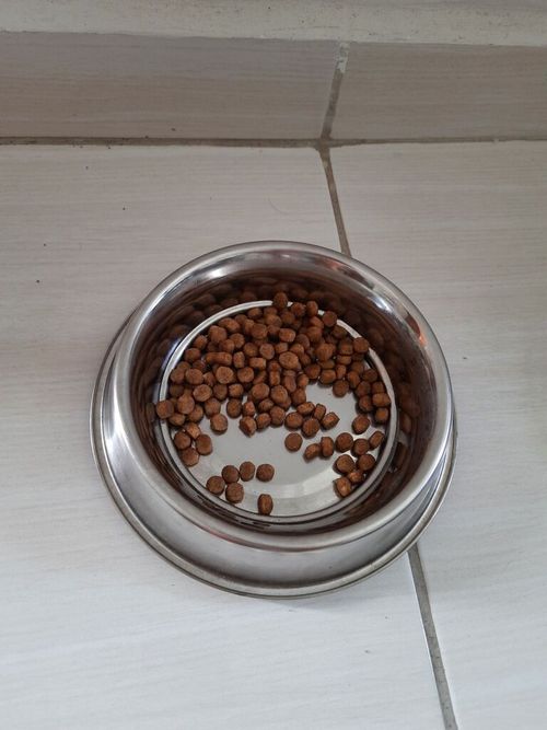 7346004-gsVLK.jpg