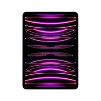 [APP]iPad Pro 4ª Geração Apple, 11", 128GB, M2, Wi-Fi, Câmera 12MP, iPadOS 16, Cinza Espacial - MNXD3BZ/A
