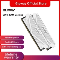 Memórias Ddr5 Gloway 2x16gb 5200mhz 