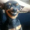 Avatar diegoas