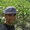 Avatar renato10