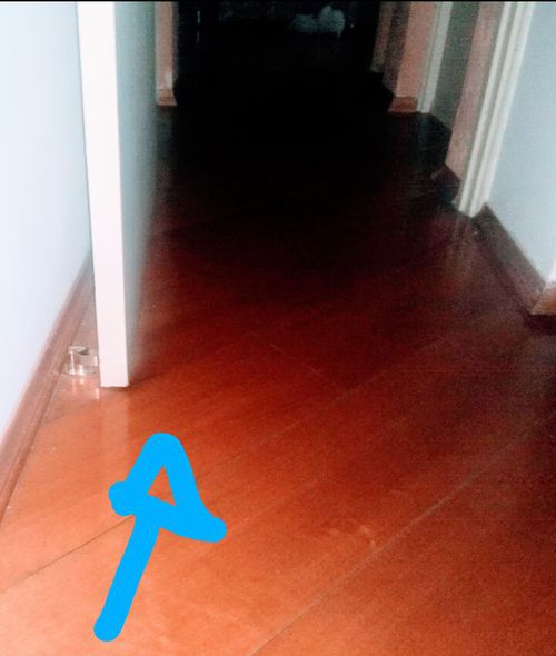 5703294.jpg