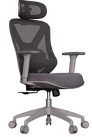 Cadeira Ergonômica Elements Rasala