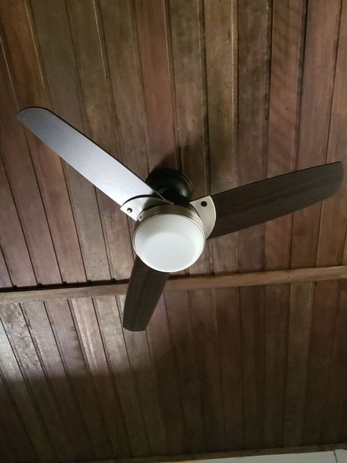 5170999.jpg