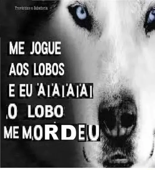 Imagem do comentário